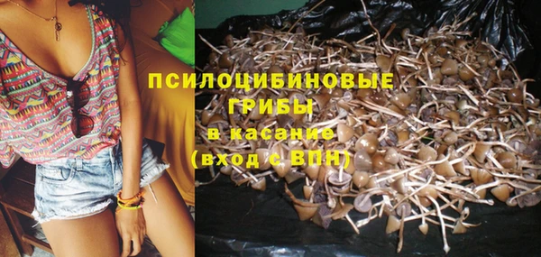 дмт Новодвинск