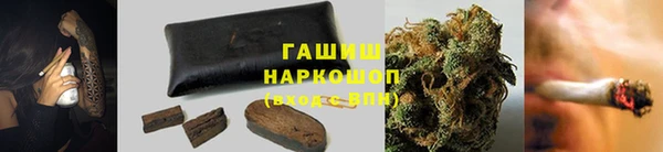 дмт Новодвинск