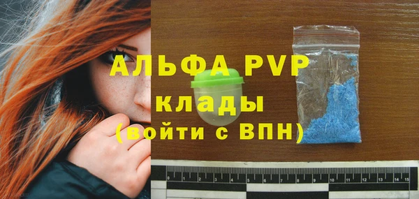 дмт Новодвинск