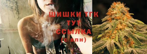 таблы Новозыбков
