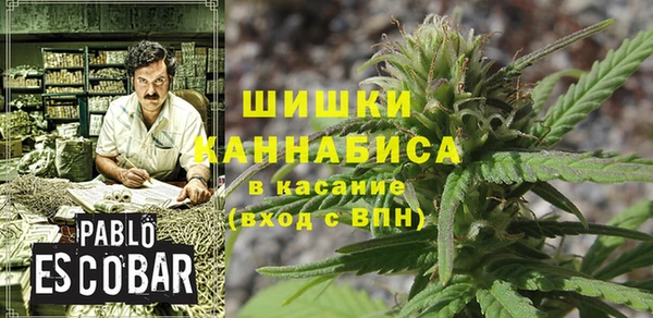 дмт Новодвинск