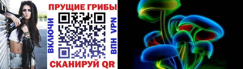 Псилоцибиновые грибы GOLDEN TEACHER  где купить наркотик  Туринск 