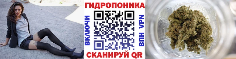 Конопля марихуана Туринск